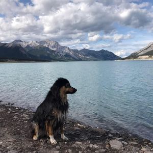 Meet your Posher, Honnie